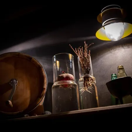 酒店 斯维泽霍夫伦策海德酒店