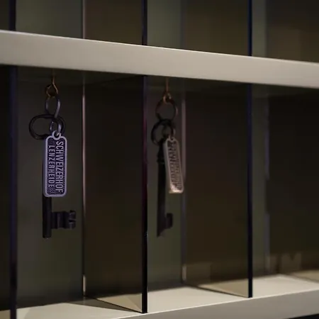 斯维泽霍夫伦策海德酒店 酒店 4*