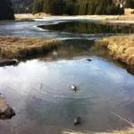 Schweizerhof Lenzerheide