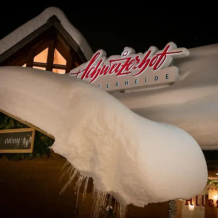 Hotel Schweizerhof 4*