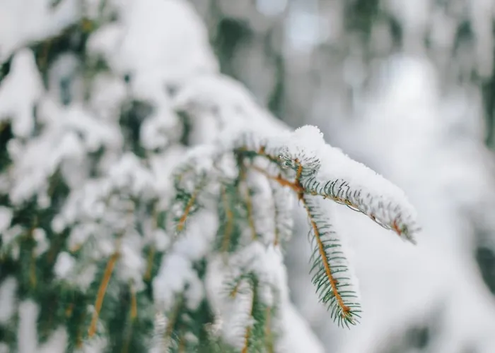 Schweizerhof Hotel 4*