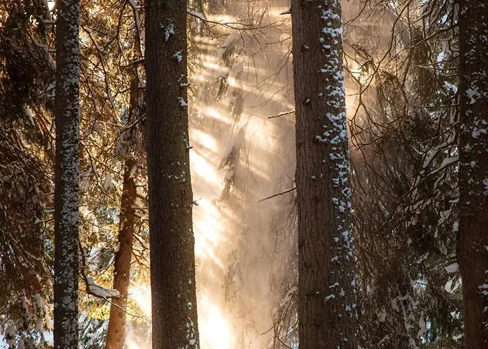 Hotel Schweizerhof 4*