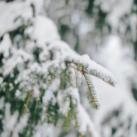 Schweizerhof Hotel 4*